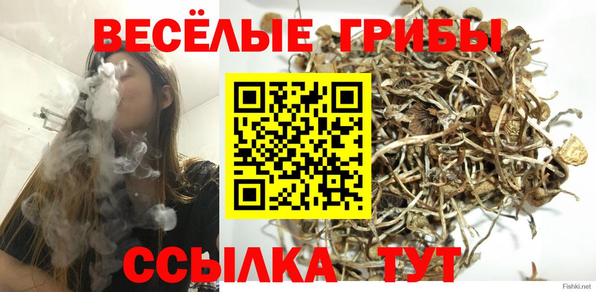 Галлюциногенные грибы Cubensis  Вход с VPN  наркота  Минеральные Воды 